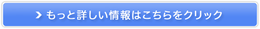 Z~fBACX`[̔TCg